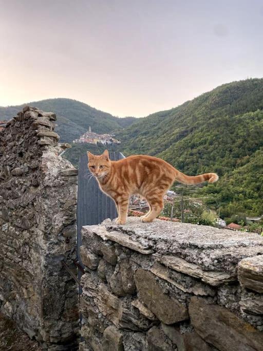 Iconic Italian Townhouse W Rooftop Terrace & Mountain View, ปิญา ภายนอก รูปภาพ